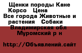 Щенки породы Кане-Корсо › Цена ­ 25 000 - Все города Животные и растения » Собаки   . Владимирская обл.,Муромский р-н